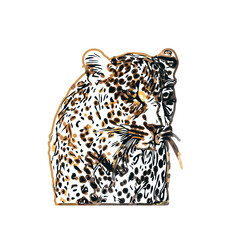 color sketch of leopard with transparent background