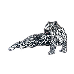 color sketch of leopard with transparent background