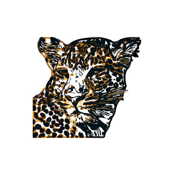 color sketch of leopard with transparent background