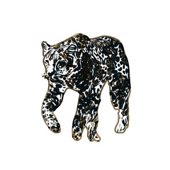  color sketch of leopard with transparent background