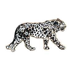  color sketch of leopard with transparent background