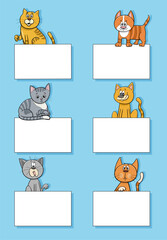 cartoon cats and kittens with cards design set