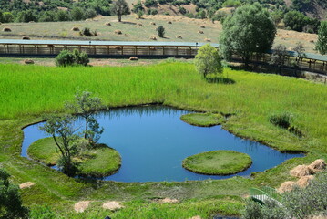 Located in Bingol, Turkey, the Floating Islands are small pieces of islands located on a small pond.