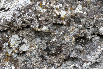 Gray stone with beautiful patterns