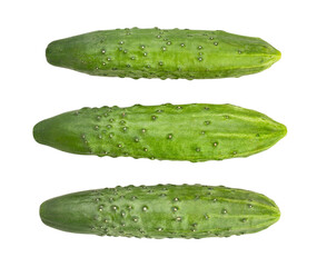 cucumber path isolated on white