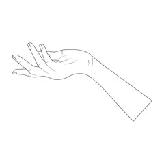 hand line art vector illustration