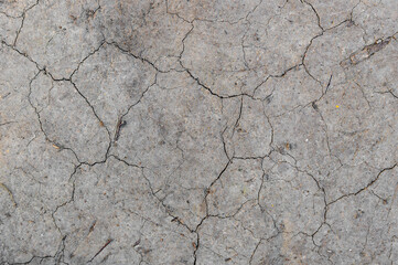 Ground cracked by hot weather. Global warming and drought concept.