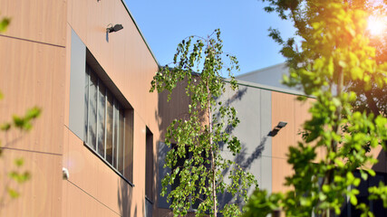 Reflection of modern commercial building on glass with sunlight. Eco architecture. Green tree and glass office building. The harmony of nature and modernity. 