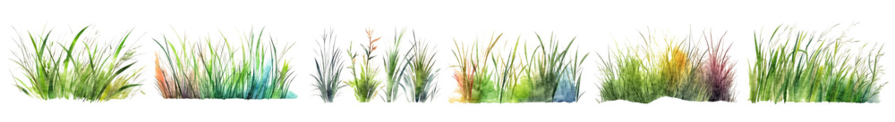 Long meadow grass collection painted with watercolor, set isolated on white transparent background