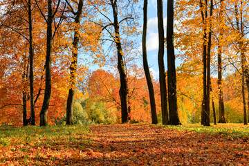 Autumn park landscape . Golden autumn in the city park. Photos on the calendar. Season. September, October, November