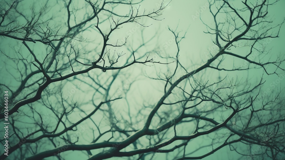 Poster the branches of a tree in the winter with no leaves on them, against a green sky with only a few clo