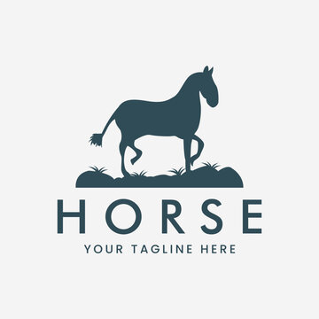 horse logo vintage vector illustration template design