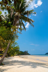 Beautiful tropical beach with white sand, palm trees, turquoise ocean against blue sky on sunny summer day..Wide view of tranquil tropical island beach, Thailand..Tropical beach with coconut palm