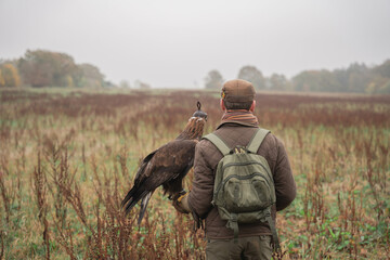 Back hunter with eagle during a hunt in France  - obrazy, fototapety, plakaty