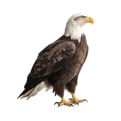 Foto op Plexiglas Side view of animal bald eagle standing on a transparent background, Generative ai © SuperPixel Inc