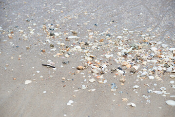 Fototapeta na wymiar Pebbles and shells in the sand of beach
