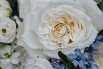 Beautiful wedding rings close-up, macro photo
