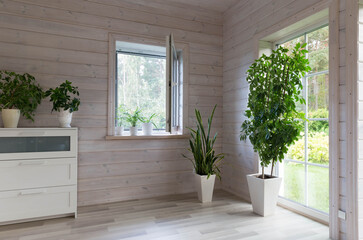 Biophilia design, biophilic interior, Sansevieria and indoor plants on the windowsill