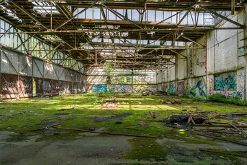 abandoned factory in the spring