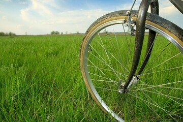 Fototapeta na wymiar Bicycle wheel on a green field