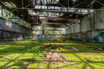 abandoned factory in the spring