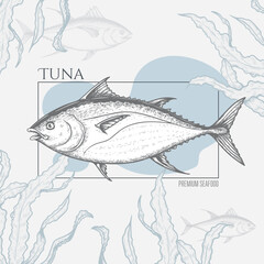 Seafood banner with hand drawn tuna fish and seaweed. Sketch style marine designs template. Best for restaurant menu, seafood market designs. Vector illustration.