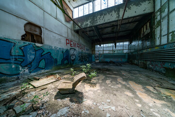 The Rangsdorf airfield, once a proud witness to aviation history, has a past that is more exciting...