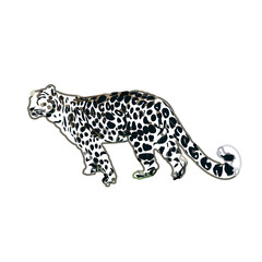  color sketch of leopard with transparent background