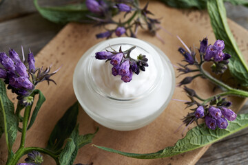 Obraz na płótnie Canvas A jar of homemade comfrey root cream with fresh Symphytum plant