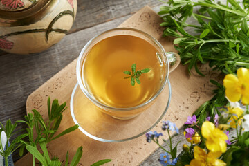A cup of herbal tea with fresh catchweed plant on a table