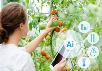 agricultural scientist woman using digital tablet and Ai technology in tomatoes greenhouse,...
