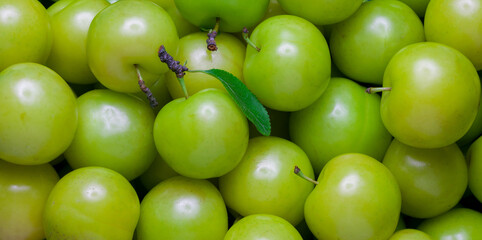 Close-up photo of organic green plums.