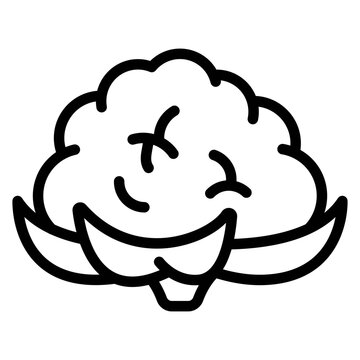 Cauliflower Vector Line Icon