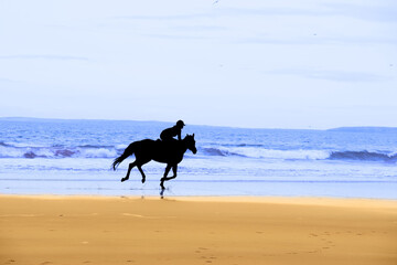 silhouette of a horse and rider galloping on ballybunion beach at sunset in kerry ireland