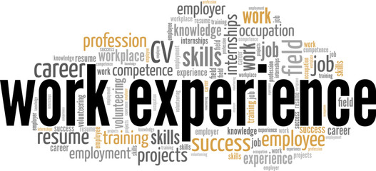 Work Experience word cloud conceptual design isolated on white background.