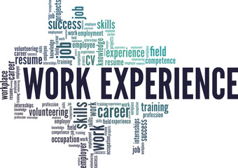 Fototapeta premium Work Experience word cloud conceptual design isolated on white background.