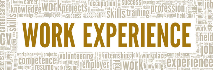 Work Experience word cloud conceptual design isolated on white background.