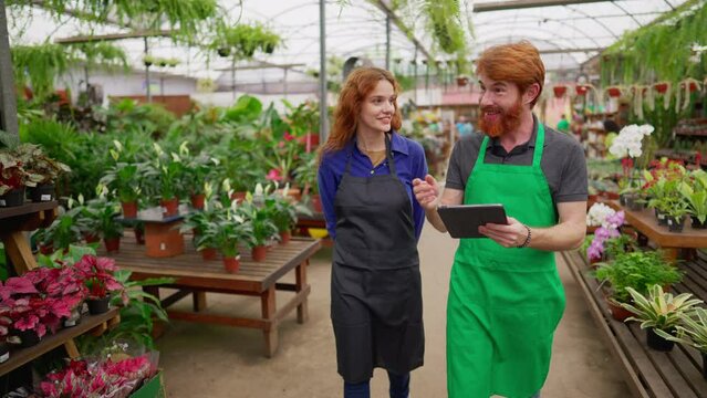 Two Staff colleagues walking through flower shop holding tablet. Happy redhair man and woman wearing green apron inside plant local business store