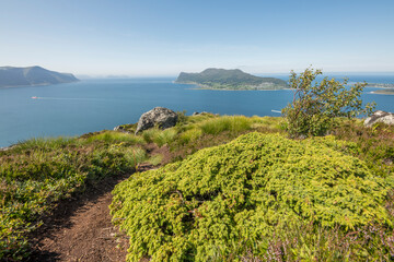 Summer view from Sukkertoppen mountain toward the surrounding islands and ocean. Bushes and a hiking trail in the foreground. Ålesund, hiking, trekking, summer