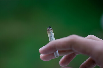 Hand holding a marijuana cigarette