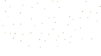 gold confetti