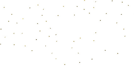 gold confetti