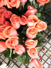 Orange mauve color roses background in top view.