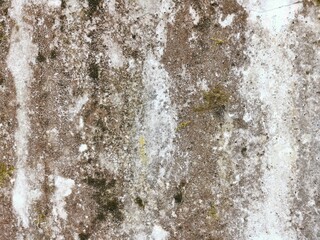 The grunge texture is an old gray concrete wall.