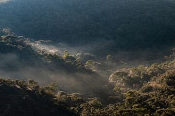 Fototapeta na wymiar Amanhecer nas montanhas da floresta do Bioma da Mata Atlântica preservada na Serra da Mantiqueira, Minas Gerais