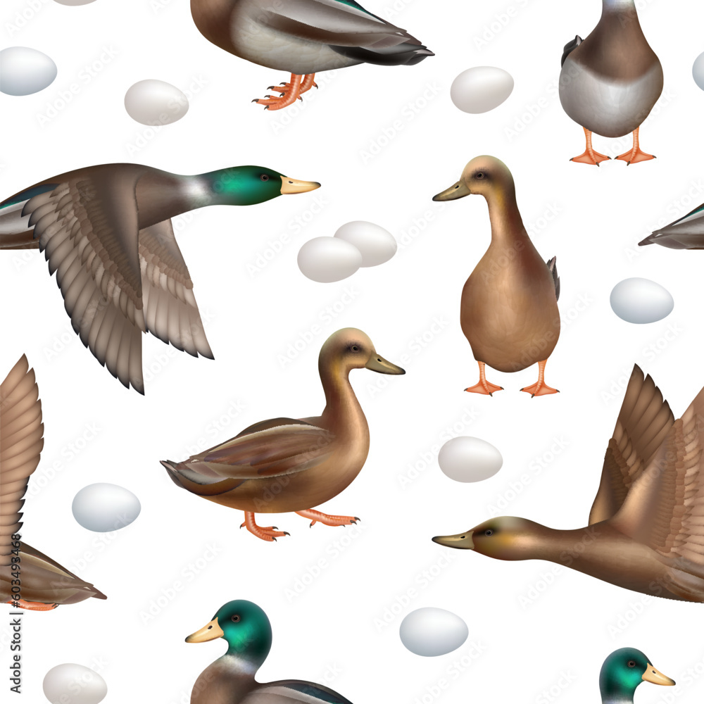 Poster ducks pattern. seamless background with wild flying ducks decent vector realistic template
