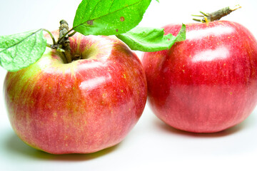 fresh red apple - fruits