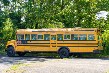 Naklejka na ściany i meble Old yellow school bus in front of green trees