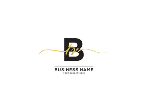 Abstract Signature Btr Logo, Geometric Btr b t r Initial Flat Letter Logo