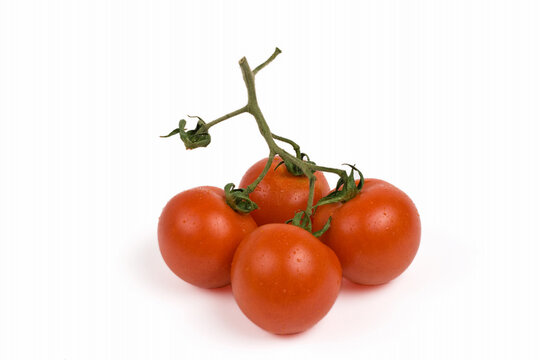 bunch of tomatoes on a twig, isolated